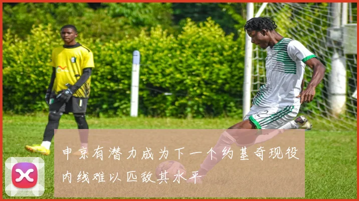 申京有潜力成为下一个约基奇现役内线难以匹敌其水平